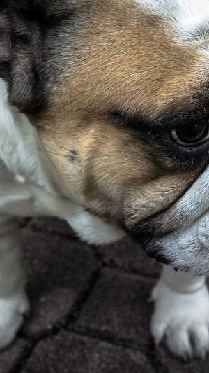 我算命你吃瓜我的功德靠大家截图2